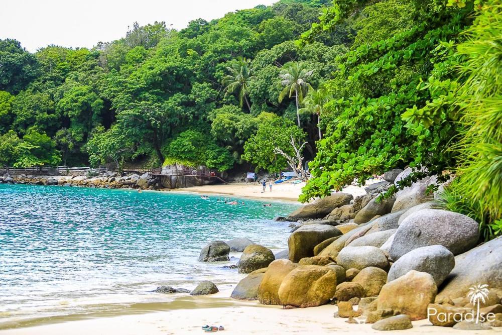 Paradise Beach Backpackers Hostel Patong Екстер'єр фото